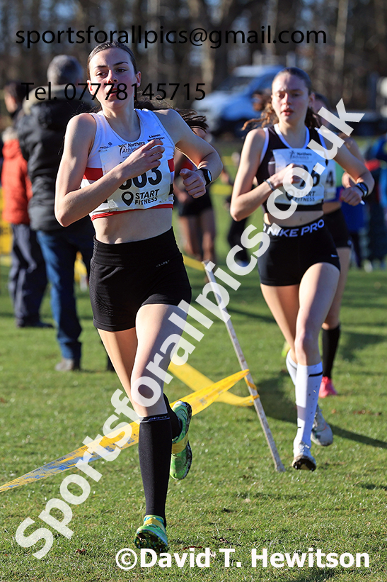 Womens under-17s 2025 Northern Cross Country Champs, Tatton Park, Knutsford, Cheshire. Photo: David T. Hewitson/Sports for All Pics